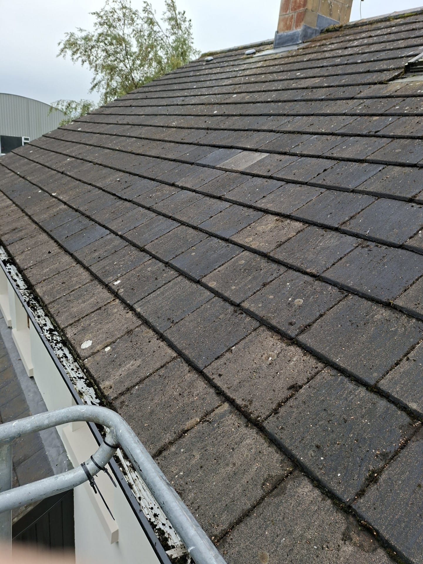 Roof cleaning 3