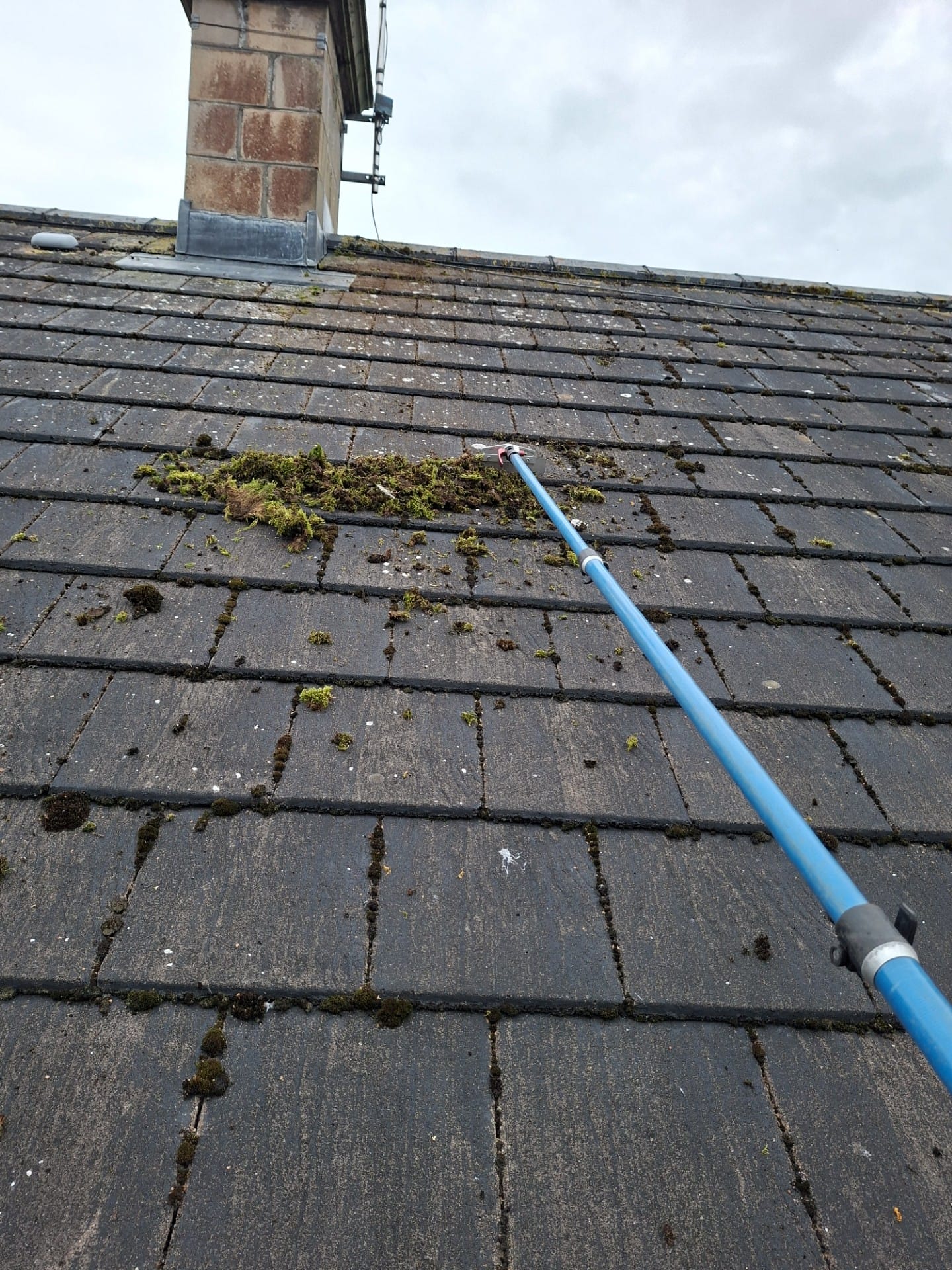 roof cleaning 1